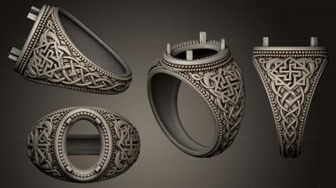 Jewelry rings Ring 001 3d model